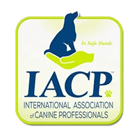 iacp-logo-member-icon-rgb-600x600-1-300x300-1