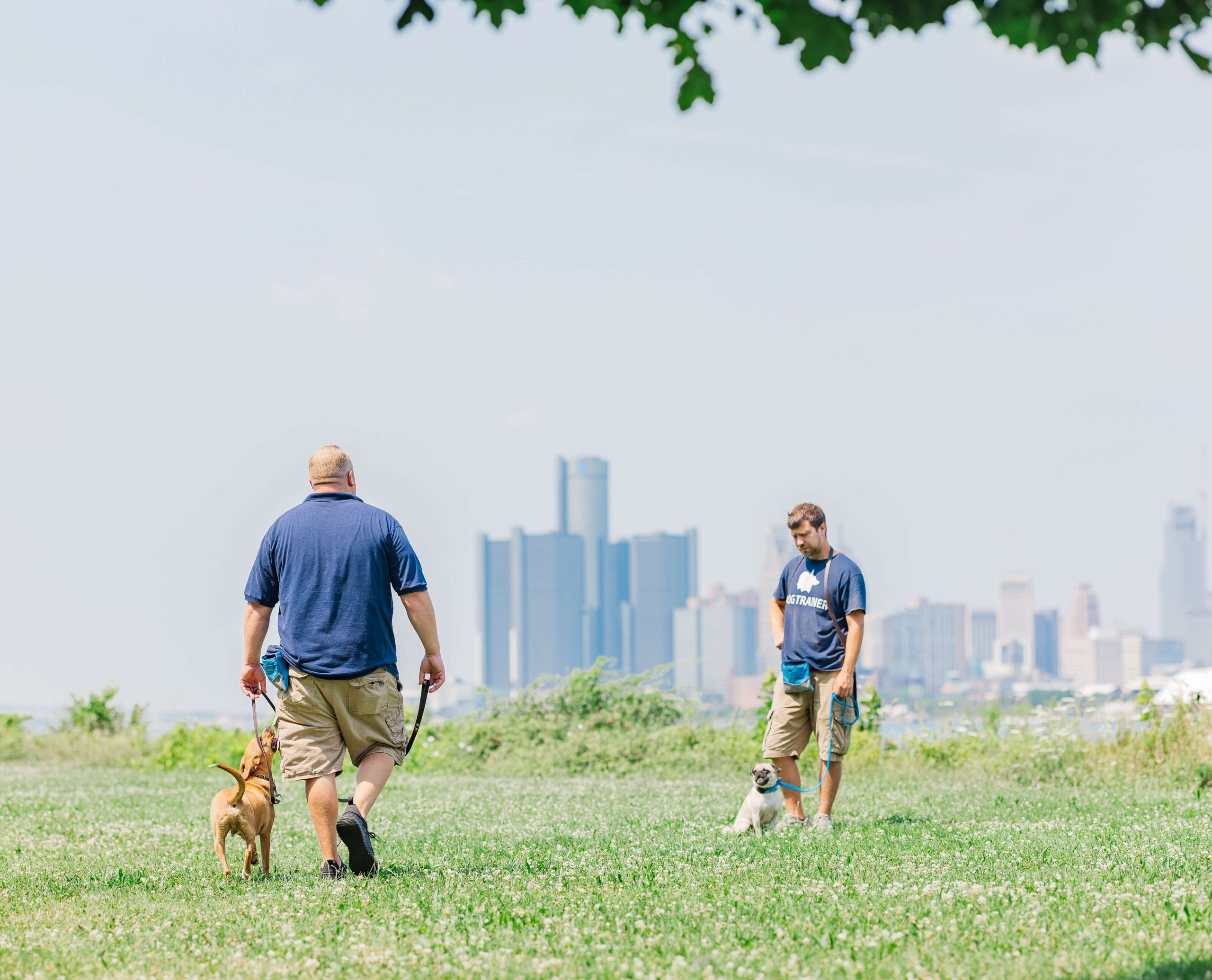 Two dogs walking near each other with Dogology University trainers on either side during a group class