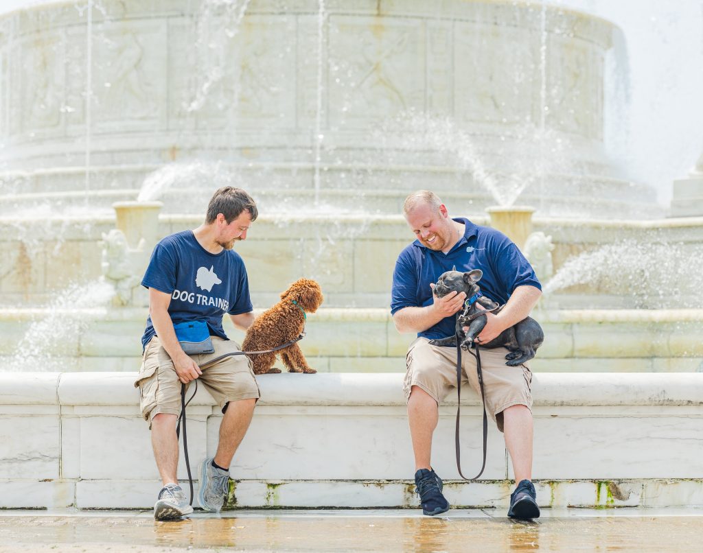 Matthew and Dogology University trainer sitting near each other on a fountain ledge, smiling at a French bulldog and a doodle at Belle Isle