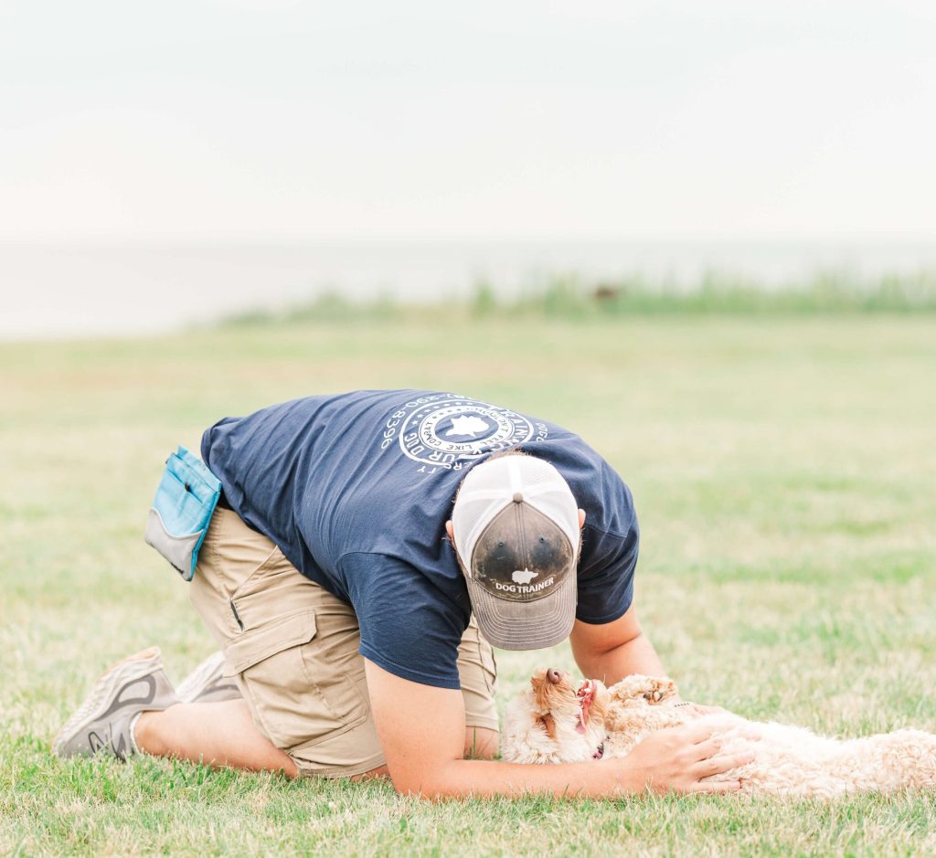 Tan puppy pawing at a table during a training session at Dogology University