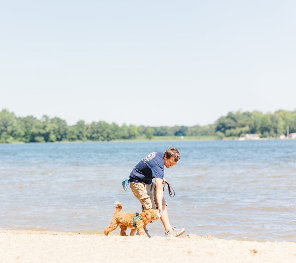 Doodle working around distractions on a beach, practicing a guided heel with treats during day training with a Dogology University trainer at a Michigan state park