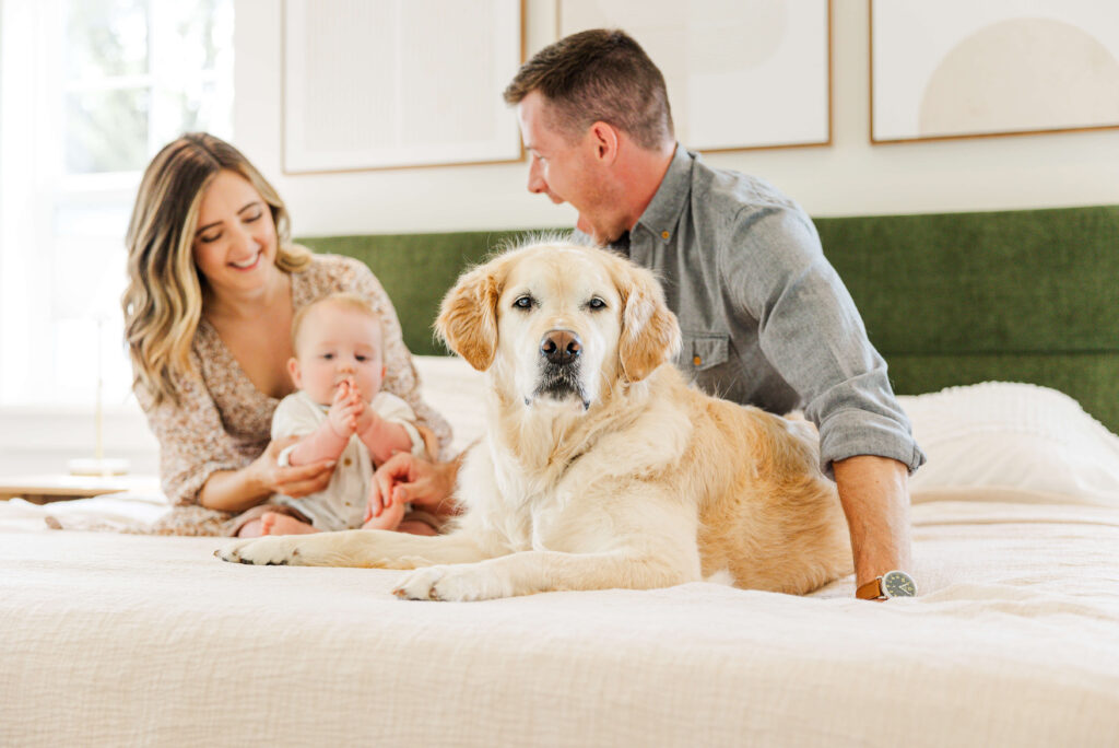 Family with baby and dog during in-home dog training session in Grand Haven Michigan