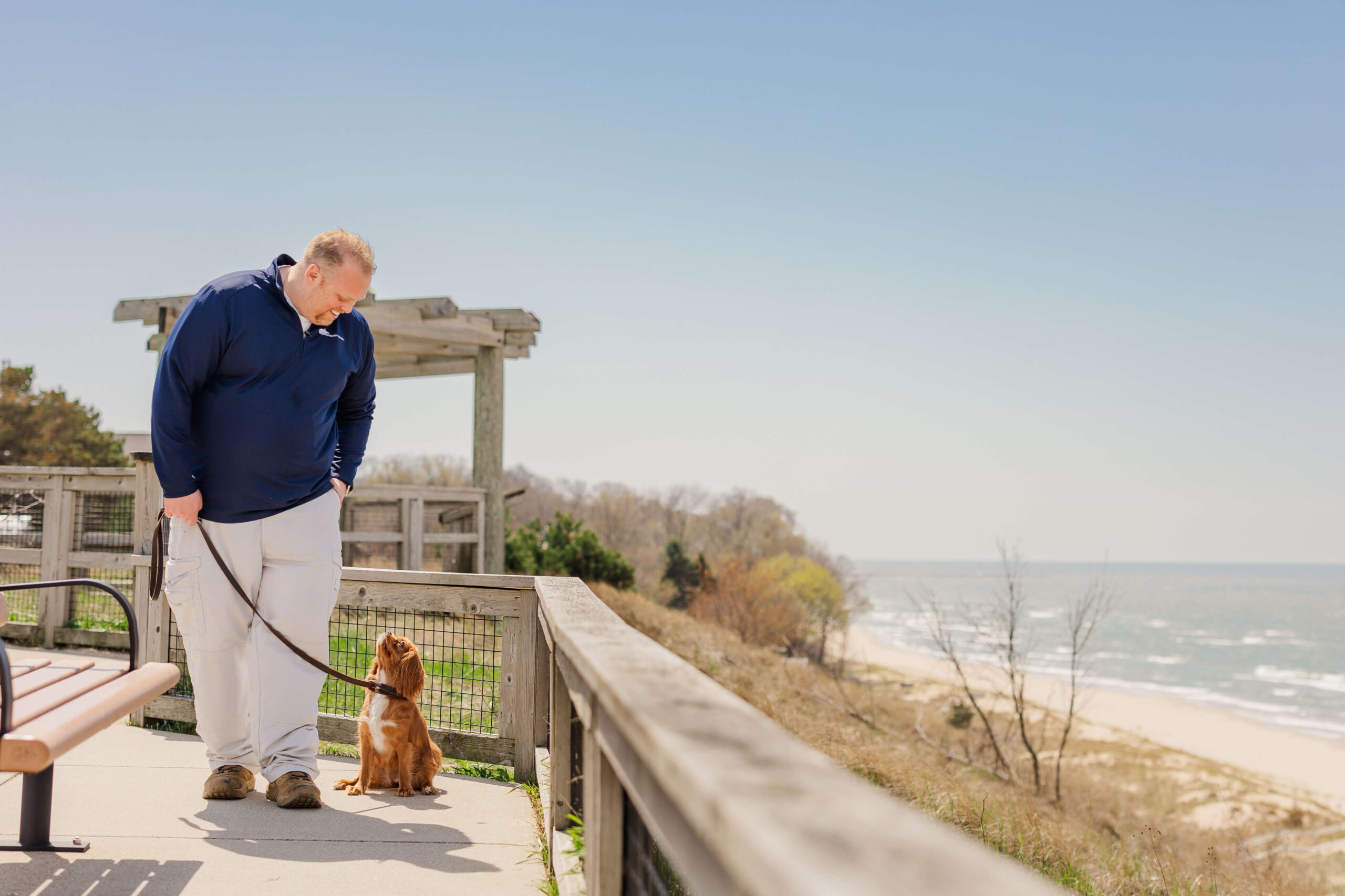 Dog training in Holland MI with a dog practicing focus near Tunnel Park