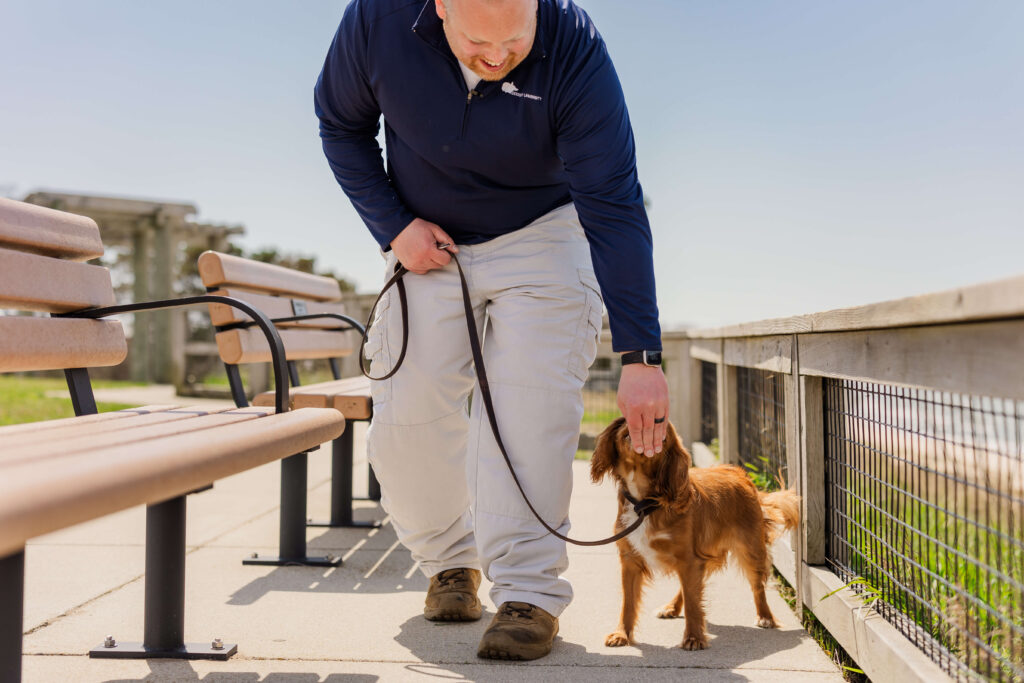 Dog trainer building focus and engagement with a dog during a private training session in Grand Haven Michigan